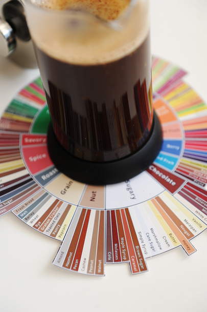 Brewing black coffee in French press. On coffee Tasters Flavor Wheel. White background - Photo, Image