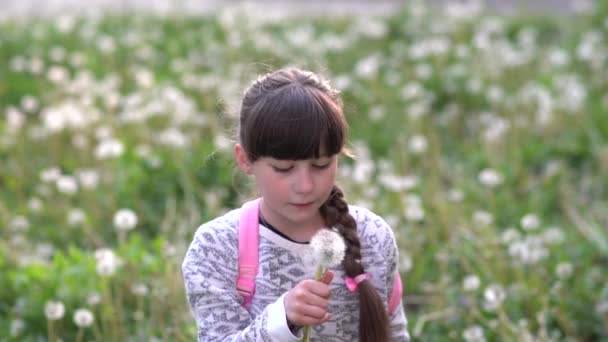 Meu sonho de verão.Pequena menina da escola brinca com dentes-de-leão no campo verde.câmera lenta
. - Filmagem, Vídeo