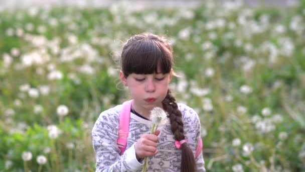 Moje letnie marzenie.Mała uczennica bawi się dmuchawcami na zielonym polach.Slow motion. - Materiał filmowy, wideo
