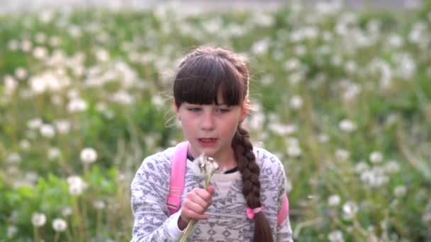 Moje letnie marzenie.Mała uczennica bawi się dmuchawcami na zielonym polach.Slow motion. - Materiał filmowy, wideo