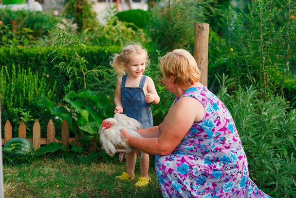 Little child girl and and granny with chicken - Fotó, kép