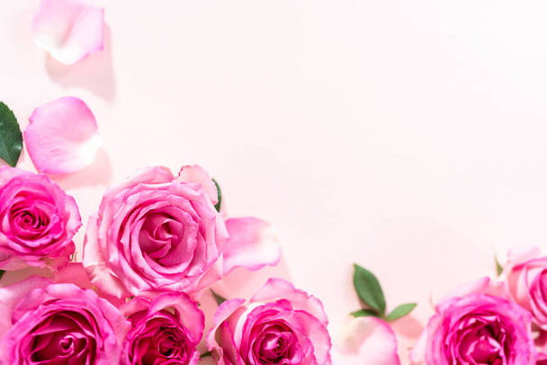 Flat lay. Pink roses and rose petals on a pink background. - Photo, Image