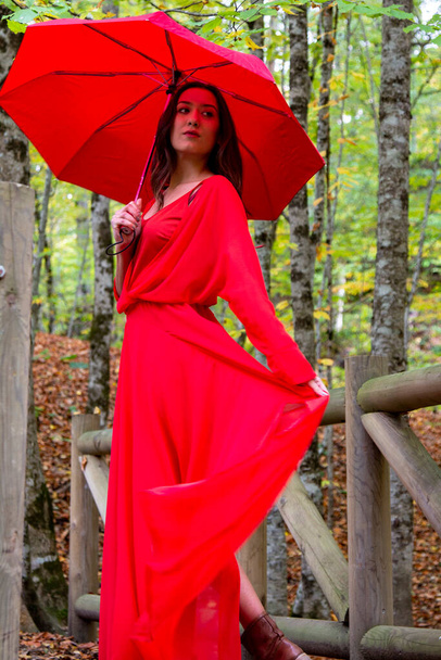 γυναίκα, μια νεαρή κοπέλα, με ένα κόκκινο φόρεμα σε ένα μυστικιστικό δάσος.  - Φωτογραφία, εικόνα