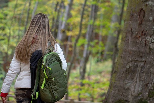 backpackers blondi nainen rakentaa telttoja metsässä, metsäteltta ja retkeily  - Valokuva, kuva