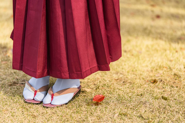 Close up on the legs of a Japanese woman in purple hakama kimono with geta shoes on the grass in autumn. - Photo, Image
