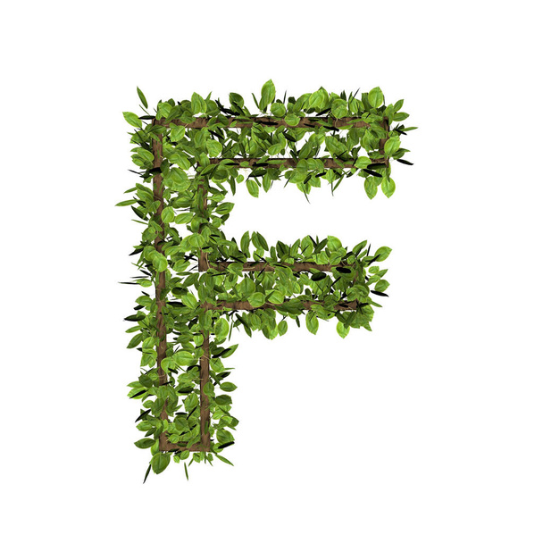 Levél stílusú levél f. 3D renderelés a fű betűtípus elszigetelt fehér háttér - Fotó, kép