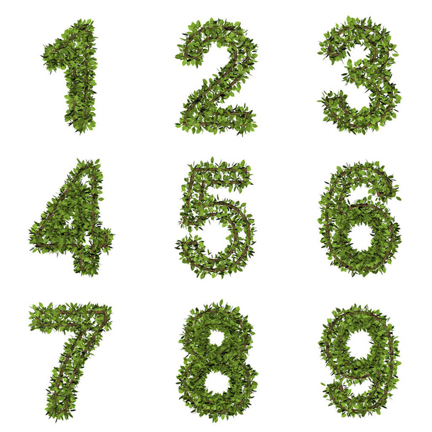 Numer w stylu liści. 3D renderowanie czcionki trawy izolowane na białym tle - Zdjęcie, obraz