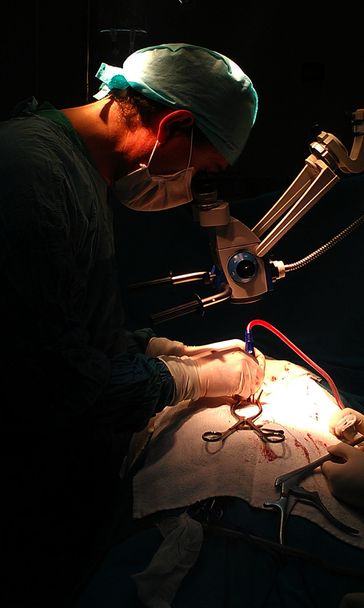 Ένας νευροχειρουργός στην Νευροχειρουργική λειτουργία - Φωτογραφία, εικόνα