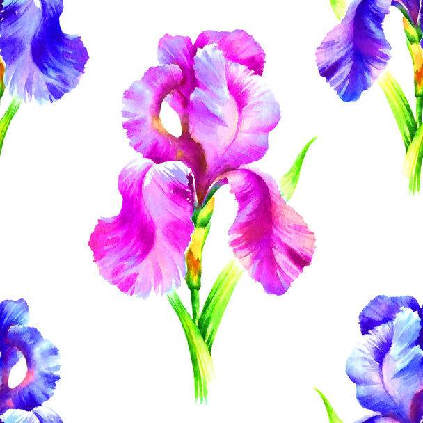 Watercolor hand paint iris flower, seamless pattern for textile, wallpaper,background. - Photo, Image
