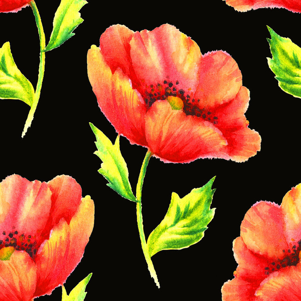 Seamless pattern with hand paint watercolor red poppy. - Valokuva, kuva