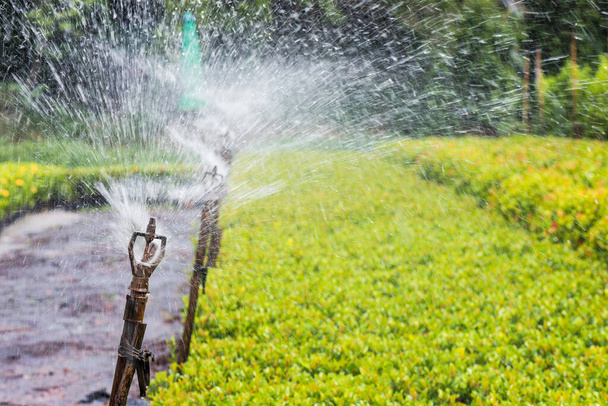 Springer wody obraca się lub obraca, aby dostarczyć wodę do roślin lub małych drzew w ogrodzie lub gospodarstwie rolnym. - Zdjęcie, obraz