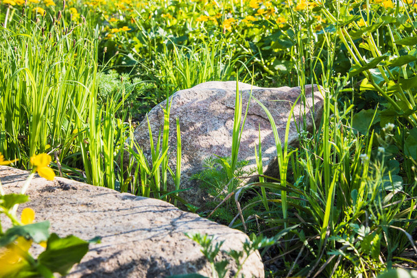 Grandes piedras en hierba verde - primer plano elemento de diseño del paisaje
 - Foto, Imagen