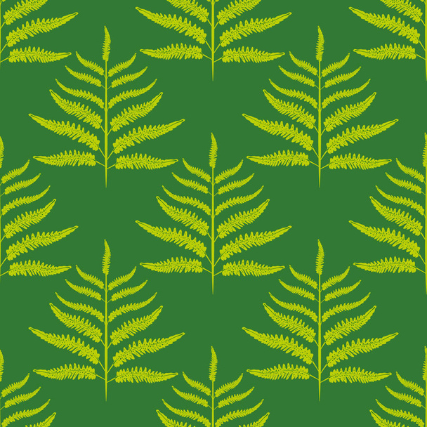 Φερν διάνυσμα αδιάλειπτη μοτίβο φόντο. Δάσος φυτό θρυαλλίδα μονόχρωμο πράσινο φόντο. Damask στυλ γεωμετρική βοτανική απεικόνιση φύλλωμα Στυλιζαρισμένο σε όλη την εκτύπωση για τη φύση συσκευασίας έννοια της υγείας - Διάνυσμα, εικόνα