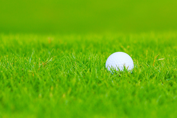 Golf course - Фото, изображение