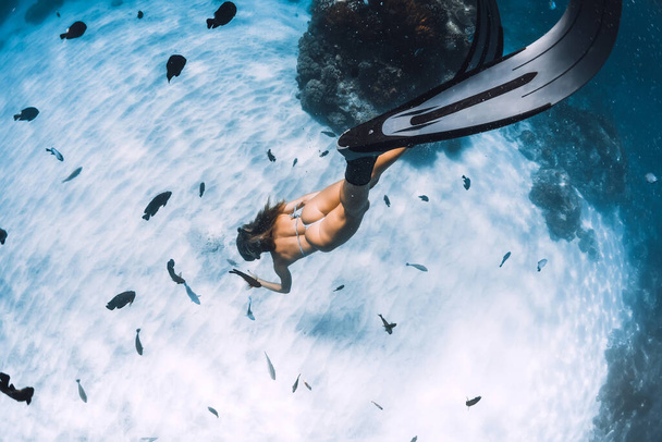 Volný potápěč dívka s ploutví klouže přes písčité dno s tropickými rybami v modrém oceánu - Fotografie, Obrázek