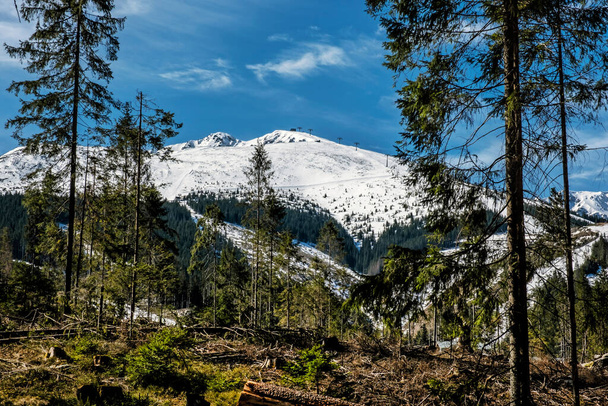 Chopok-csúcs és Demanovska-völgy az Alacsony-Tátra Nemzeti Parkban, Szlovák Köztársaság. Túrázás téma. Szezonális természeti jelenet. - Fotó, kép