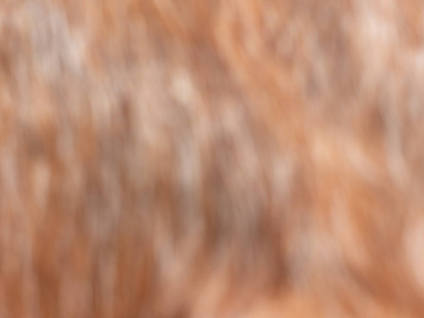 Blurry background of a tail of a Stallion horse , natural light brown - Photo, Image