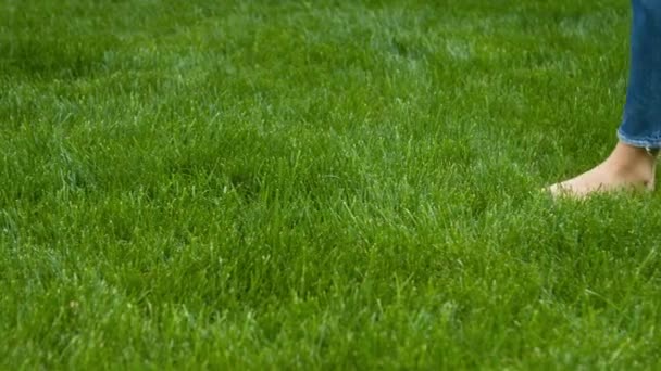 Žena šlape na sekané trávníku - Záběry, video