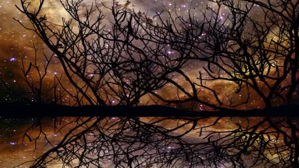 πανόραμα του καθρέφτη του νερού και του γαλαξία νεφελώματος αντανάκλαση στη λίμνη και σιλουέτα ξηρό δέντρο - Πλάνα, βίντεο