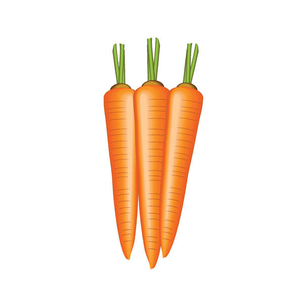 Illustrazione vettoriale delle carote isolata su un bacino bianco in EPS10
 - Vettoriali, immagini