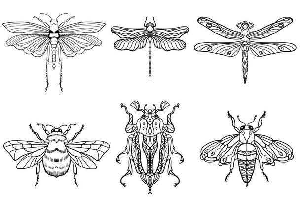 Insect bees, dragonflies, beetles, moths. Set. Vintage hand drawn engraving vector collection. Black-white on a white background. Ideal for postcards or for any other design, coloring. - Vector, afbeelding