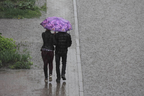 Een echtpaar in zwarte jassen onder een heldere lila paraplu lopen langs de stoep in de buurt van een grote plas met kopieerruimte tegen de achtergrond van een groen gras op een koude zomer regenachtige dag - Foto, afbeelding