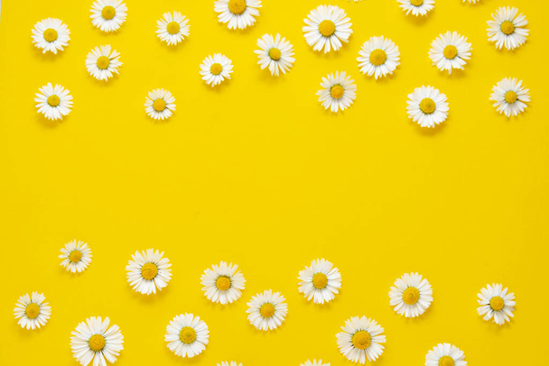 White chamomile daisy flowers frame, on yellow background, summer flat lay - Photo, image