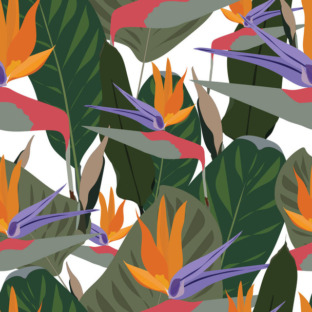 混合のシームレスなベクトルパターン:白い背景に隔離された熱帯緑の葉を持つ楽園の花の鳥。涼しいアフリカのクレーンの花やstrelitzia reginae花の生地パターン. - ベクター画像