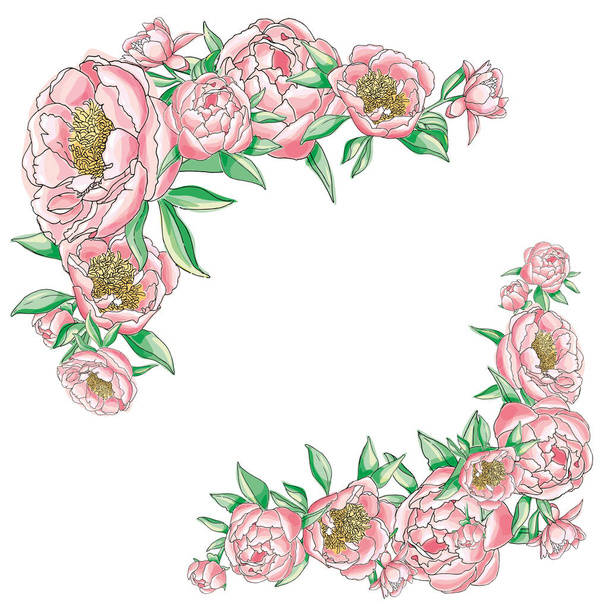 floral frame from the pink peons - Вектор,изображение
