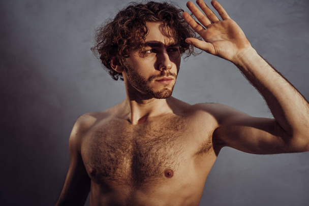 Homem nu e atraente com cabelo encaracolado posando para uma sessão de fotos em um fundo cinza cobrindo-se da luz com uma mão
 - Foto, Imagem