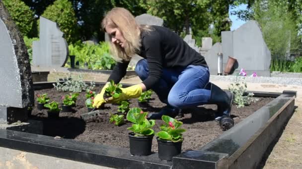 Husband grave plant - Footage, Video