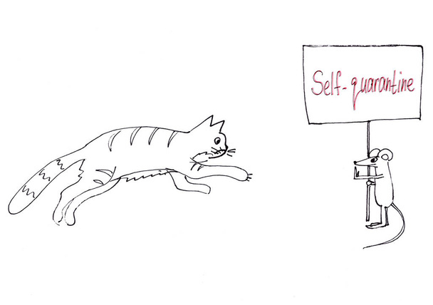 самокарантин. черно-белая графическая картинка кошка бежит за мышью, мышь держит плакат с надписью
. - Фото, изображение