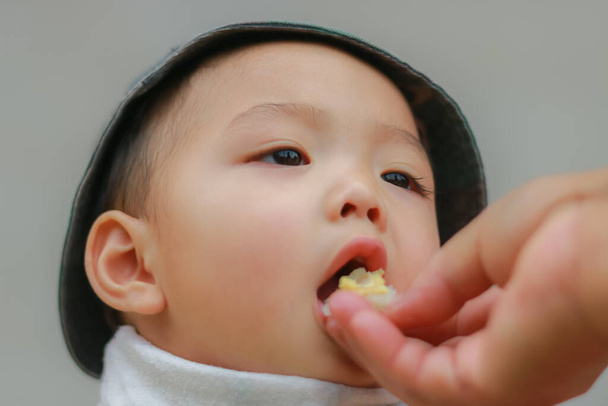 Close-up de asiático adorável criança comendo alimentos pela mão da mãe. Alimentar comida para bebês à mão é uma cultura do povo do norte da Tailândia. Cuidado do bebê e conceito de infância
. - Foto, Imagem
