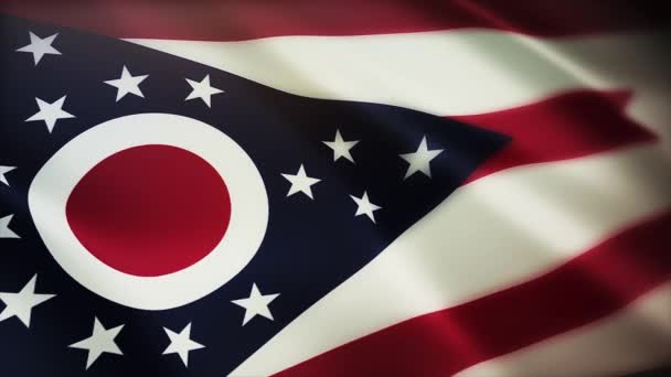 4k Ohio vlag, staat in Verenigde Staten Amerika, doek textuur lus achtergrond. - Video