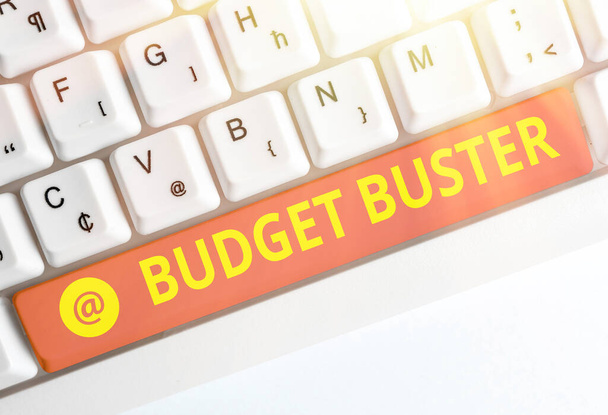 Text sign showing Budget Buster. Conceptual photo Carefree Spending Bargains Unnecessary Purchases Overspending. - Photo, Image