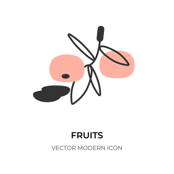 Fruits flat line icon mandarin citrus slice vector - Vector, Image