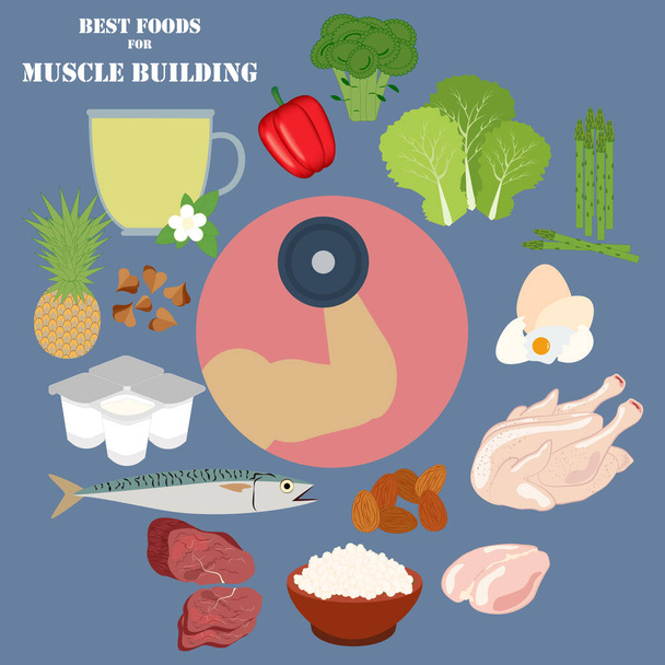 Najlepsze jedzenie do budowania mięśni na niebieskim tle. Ilustracja wektora - Wektor, obraz