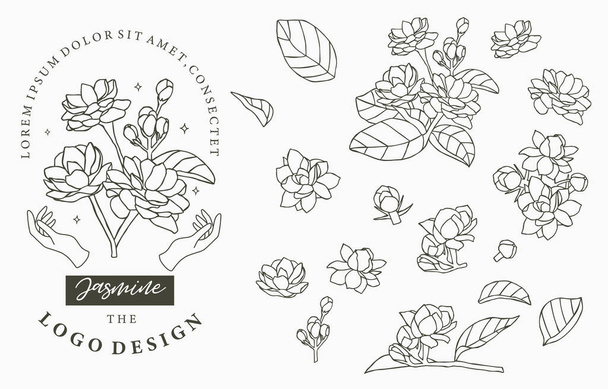 Черная коллекция логотипов Жасмин с листьями. Векторные иллюстрации для иконки, логотипа, наклейки, печатаемые и татуировки
 - Вектор,изображение