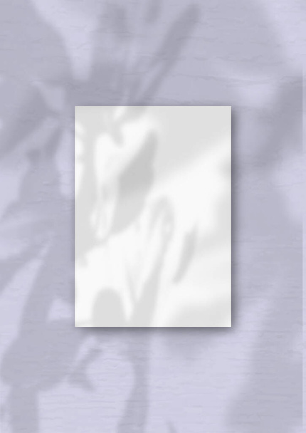 Un foglio A4 verticale di carta bianca strutturata sul morbido sfondo della parete viola. Il Mockup si sovrappone alle ombre delle piante. La luce naturale getta ombre dall'albero della felicità. - Foto, immagini