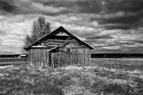 Wooden barn houses stand on the early summer fields of the rural Finland. - Photo, Image