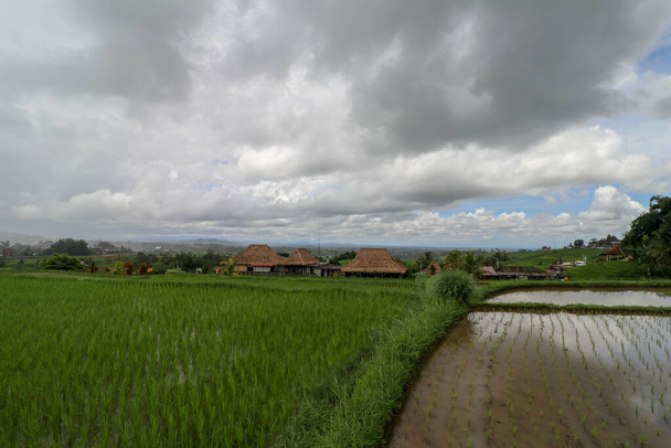 Jatiluwih Rice Terrace, Zona escénica con terrazas de arroz verdes y onduladas, Bali, Indonesia. Hermoso paisaje, arrozales verdes frescos, fondo cielo nublado. Edificio de madera con techo de lengüeta seca
. - Foto, Imagen