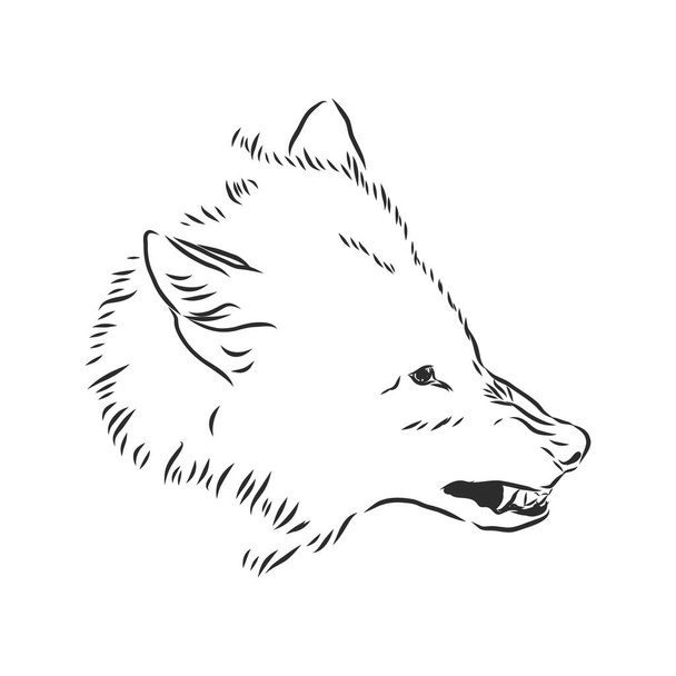 сердитий снарк вовк, сердитий вовк рожевий, голова вовка, векторна ілюстрація ескізу
 - Вектор, зображення