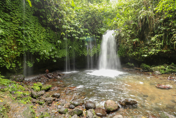 Wodospad Yeh Ho znajduje się w bujnej wiosce Penebel w Tabanan. Wodospad w pobliżu tarasu ryżowego Jatiluwih na Bali, Indonezja. Piękny wodospad w głębokiej tropikalnej dżungli. - Zdjęcie, obraz