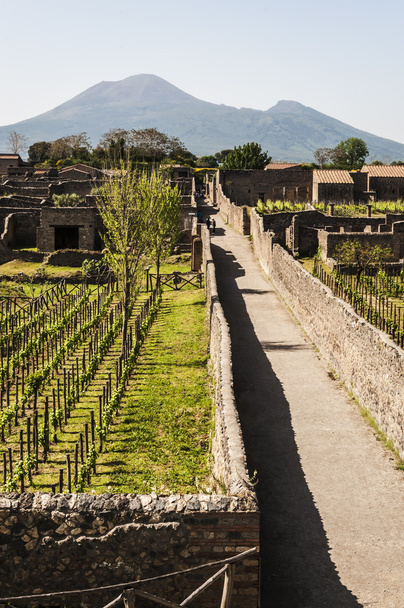 Pompeiji - Valokuva, kuva