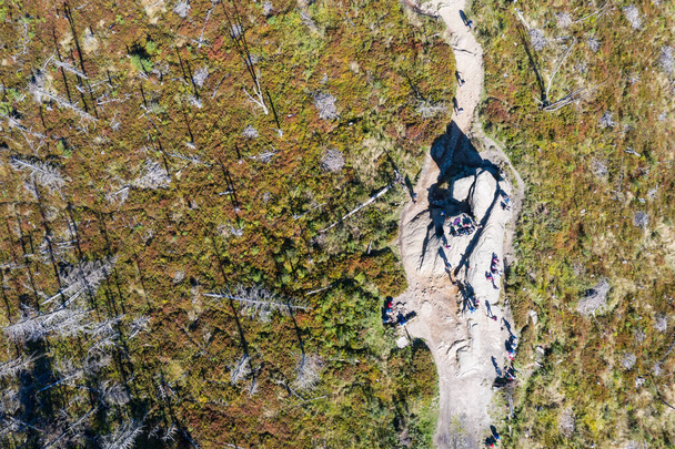  Widok z lotu ptaka na polskie góry Beskid. Szlak Malinowska skala w Skrzycznym Śląsku Polska  - Zdjęcie, obraz