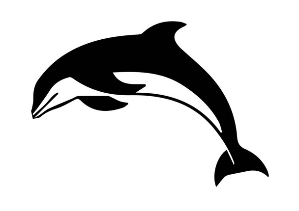 Силуэт дельфина на белом фоне
 - Фото, изображение