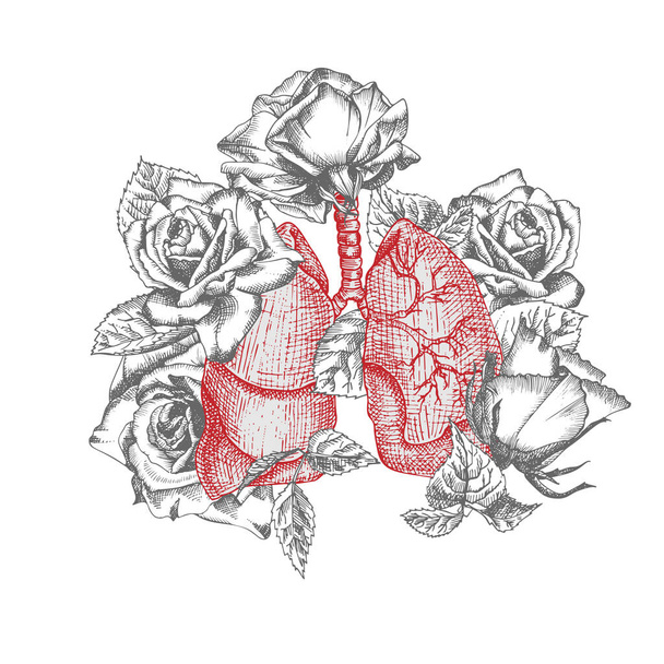 Polmoni con rose bouquet icona realistica disegnata a mano di organo interno umano e cornice floreale. Incisione d'arte. Stile schizzo. Concetto di design per manifesti medici post-virali di riabilitazione, tatuaggi Vector
 - Vettoriali, immagini