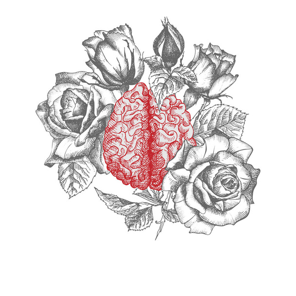 Cervello con rose bouquet Icona realistica disegnata a mano di organo interno umano e cornice floreale. Incisione d'arte. Stile schizzo. Concetto di design per manifesti medici post-virali di riabilitazione, tatuaggi Vector
 - Vettoriali, immagini