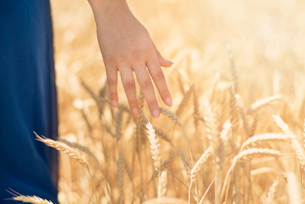 concept - close up of young woman hand touching spikelets in cereal field. country, nature, summer holidays, agriculture and people - Φωτογραφία, εικόνα