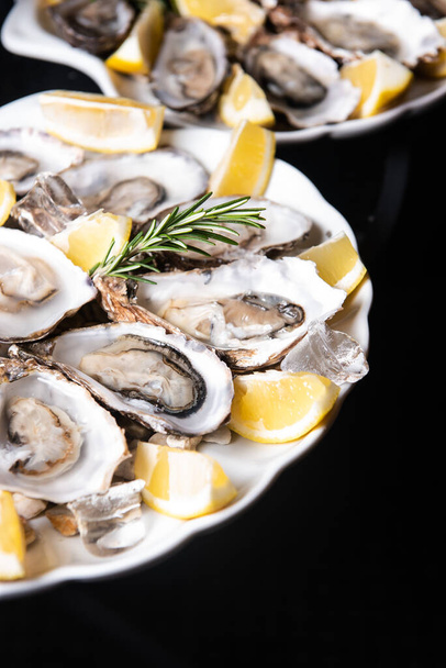 oesters met citroen en ijs op een witte plaat geïsoleerd - Foto, afbeelding